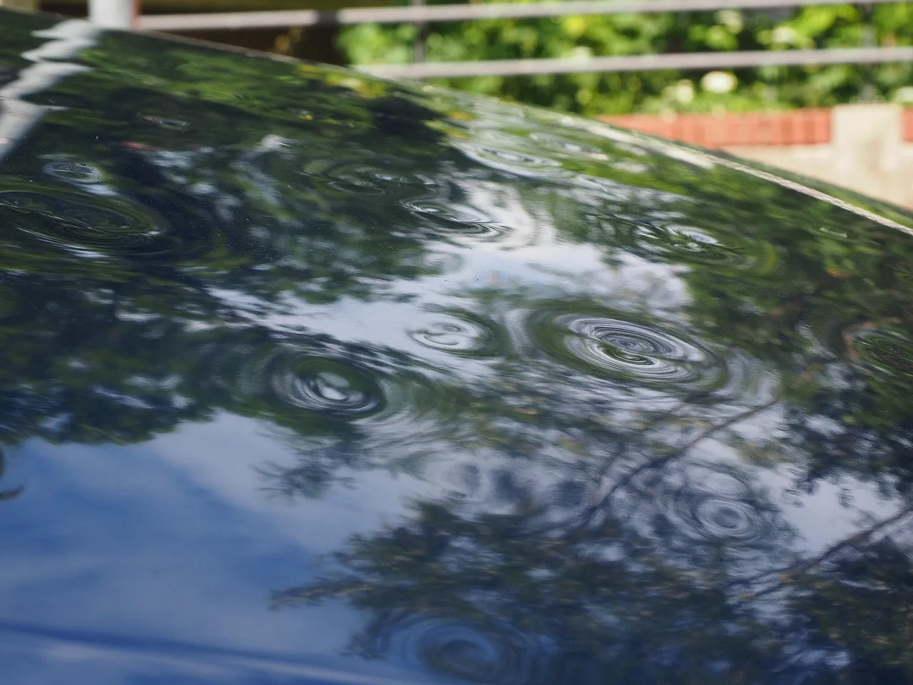 hail damage, automobile, car roof, paint damage, bumps, dents, hailbones, hail dents, case of insurance, insurance, hail damage, hail damage, hail damage, hail damage, hail damage. Matching wrap and tint shop insurance to its real failure modes