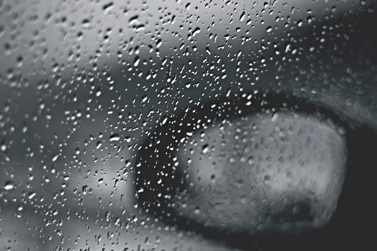 rain, nature, car window, gloomy, raindrops, black and white. Wrap and tint shop marketing: one pitch per buyer type