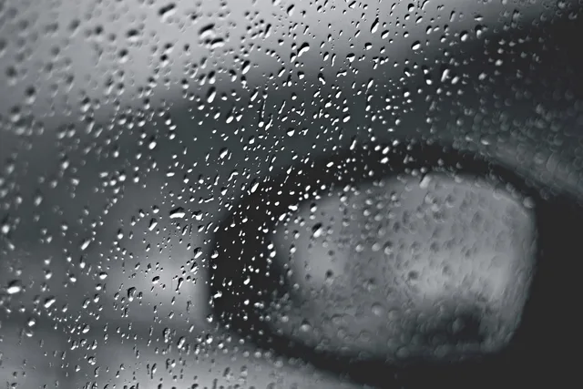 rain, nature, car window, gloomy, raindrops, black and white. Wrap and tint shop marketing: one pitch per buyer type