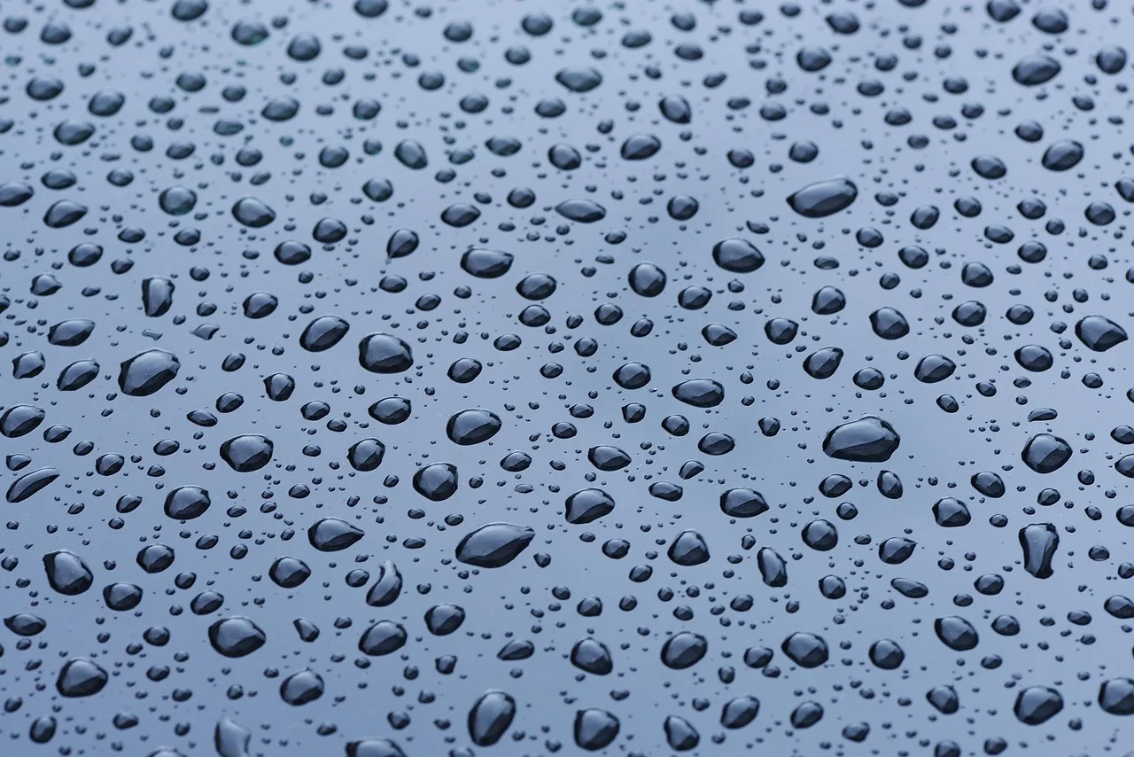 waterdrop, water, surface, wet, nature, roll off, paint. Wrap and tint shop break-even: formula, stress test, checks